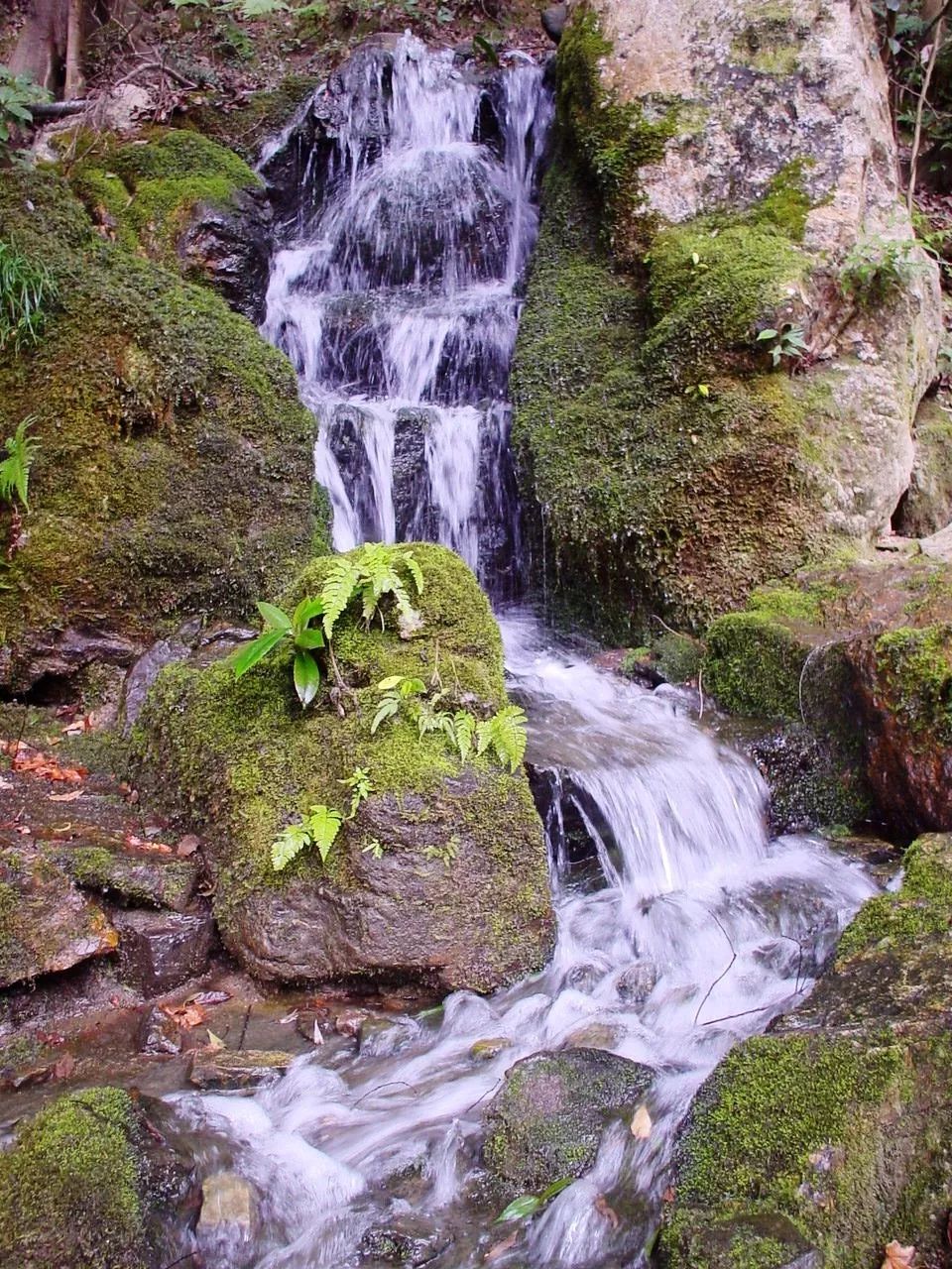 日式庭院之瀑布-3