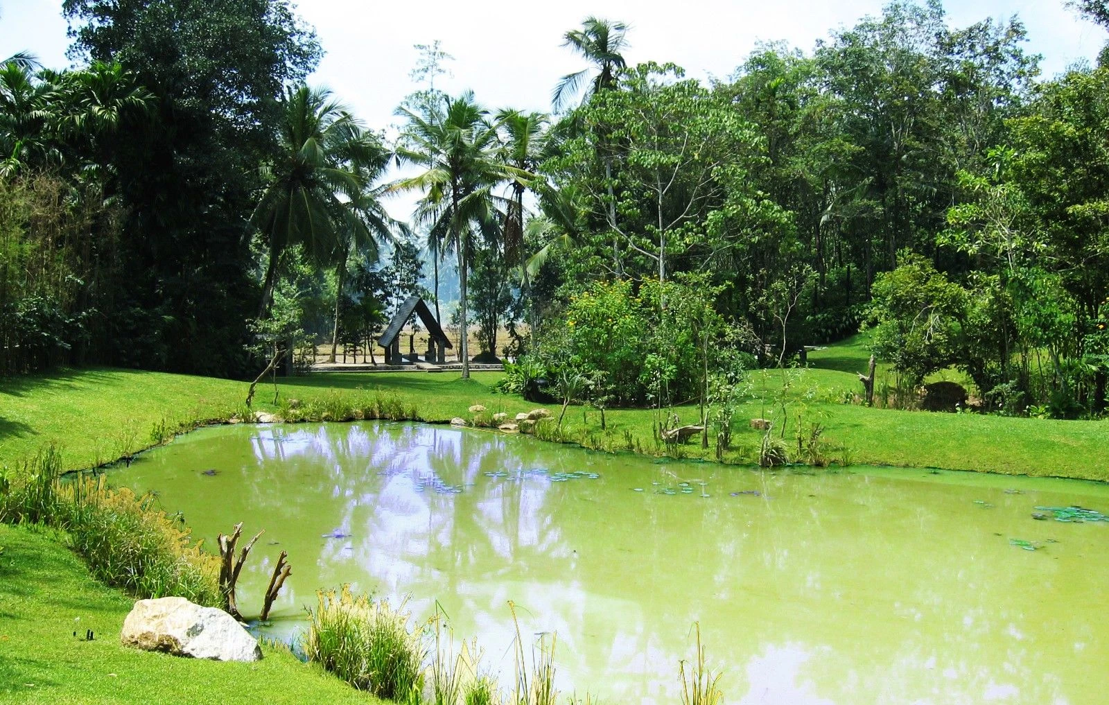 斯里兰卡“荆棘”庄园-25