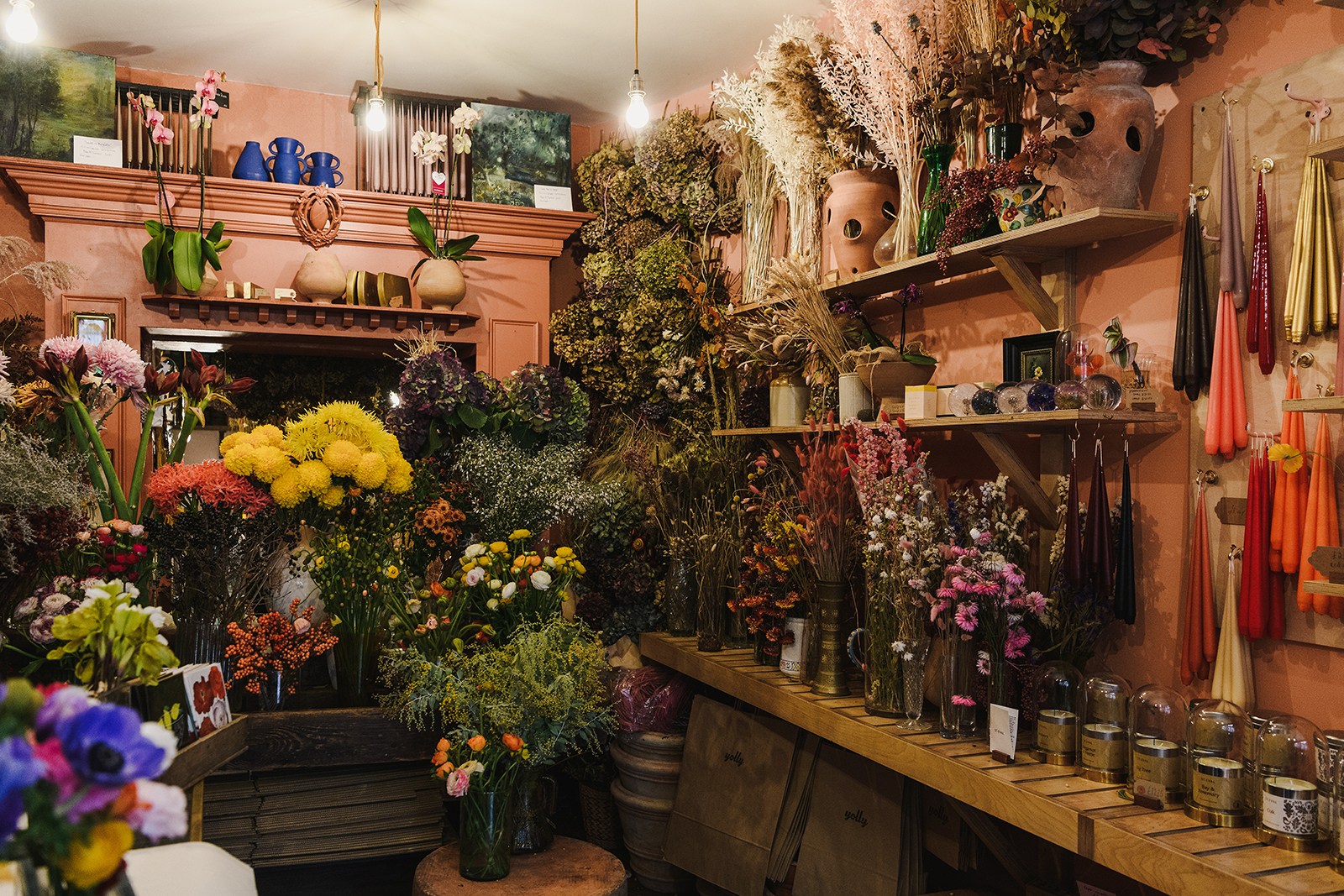 A local’s guide to Forest Hill - from the Horniman Museum to modernist architecture | Journal | The Modern House-16