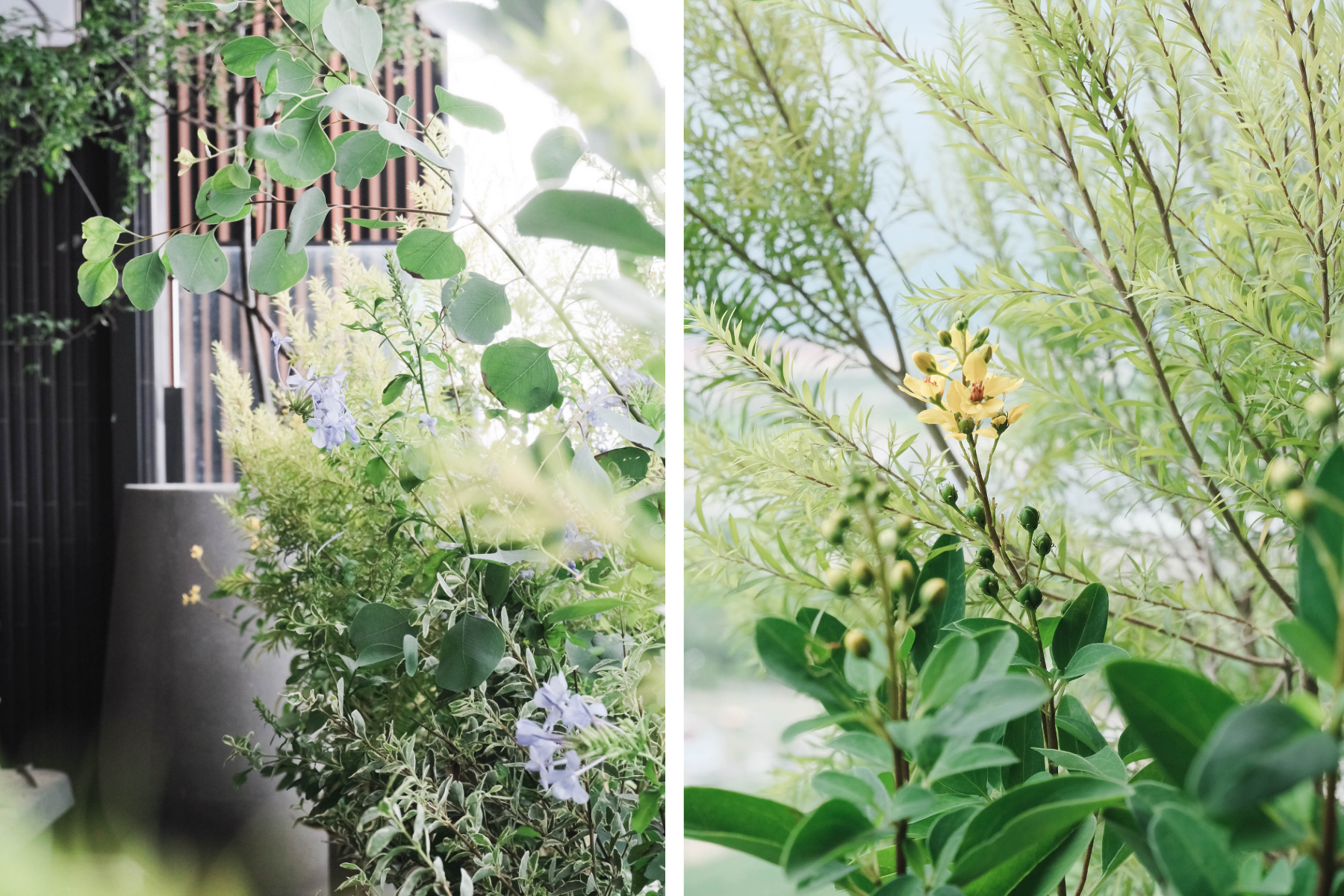 住宅案 | 中壢區 | 陽台景觀設計-2