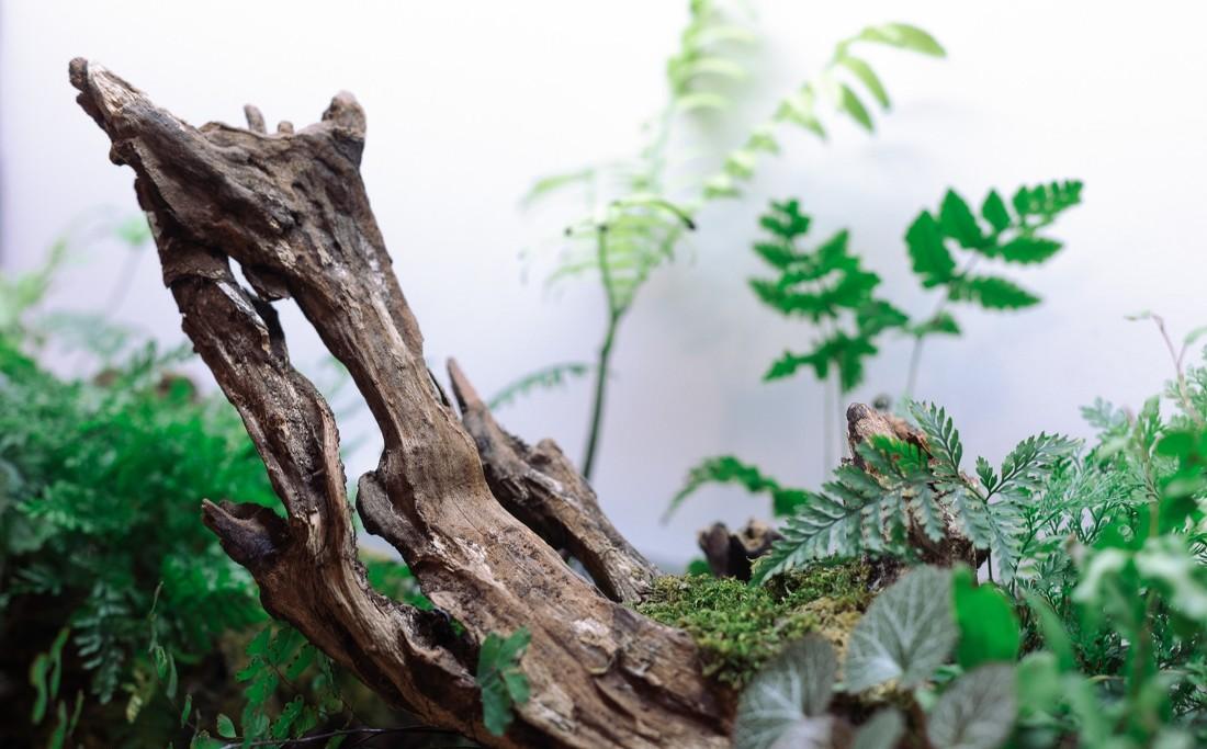 李大脓丨平层住宅低预算改造 | 中式禅意风-8