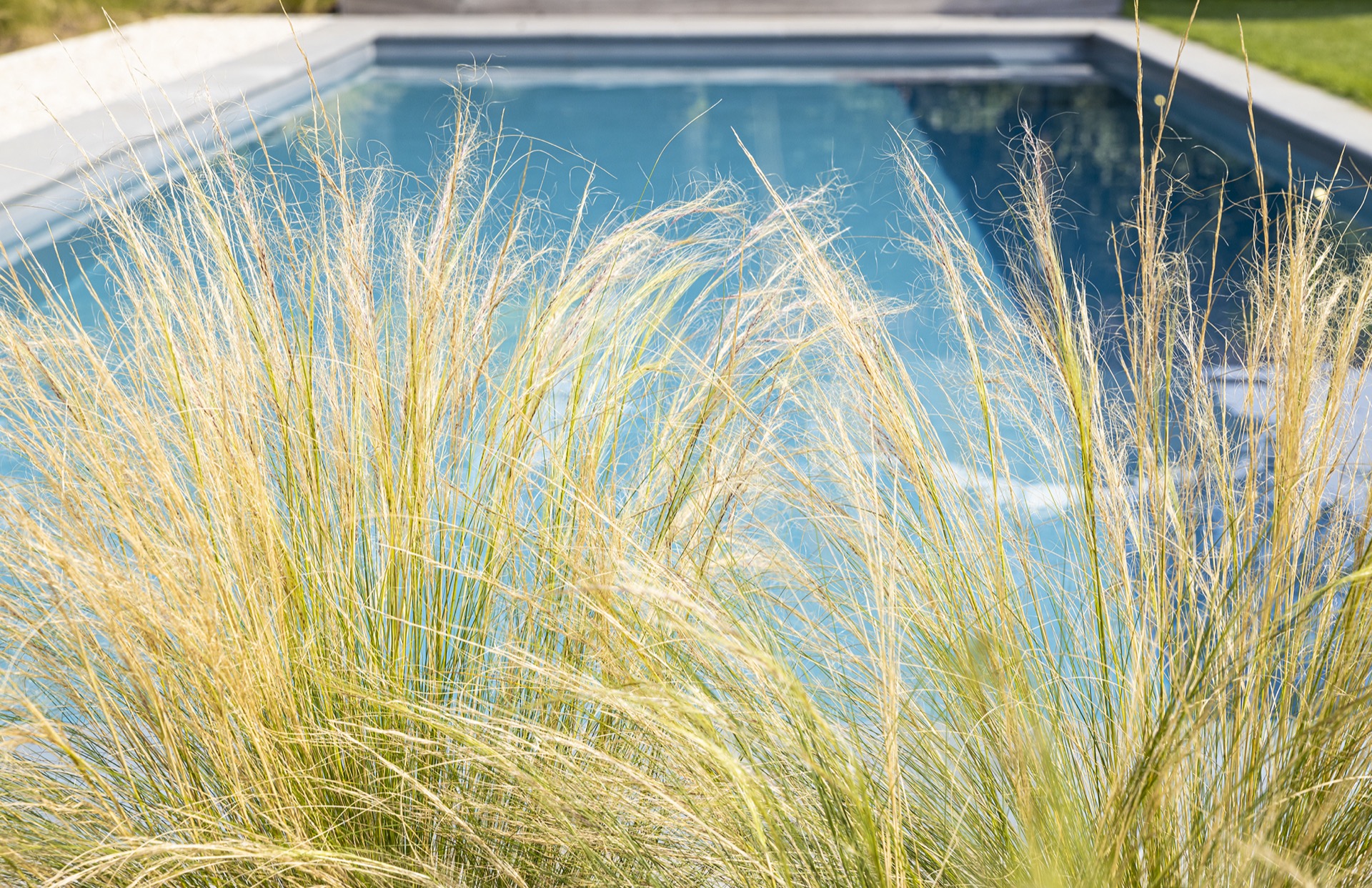 Natuurlijk zwembad in Hove-5