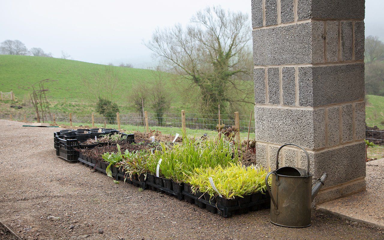 新花园种植项目丨Dan Pearson-22