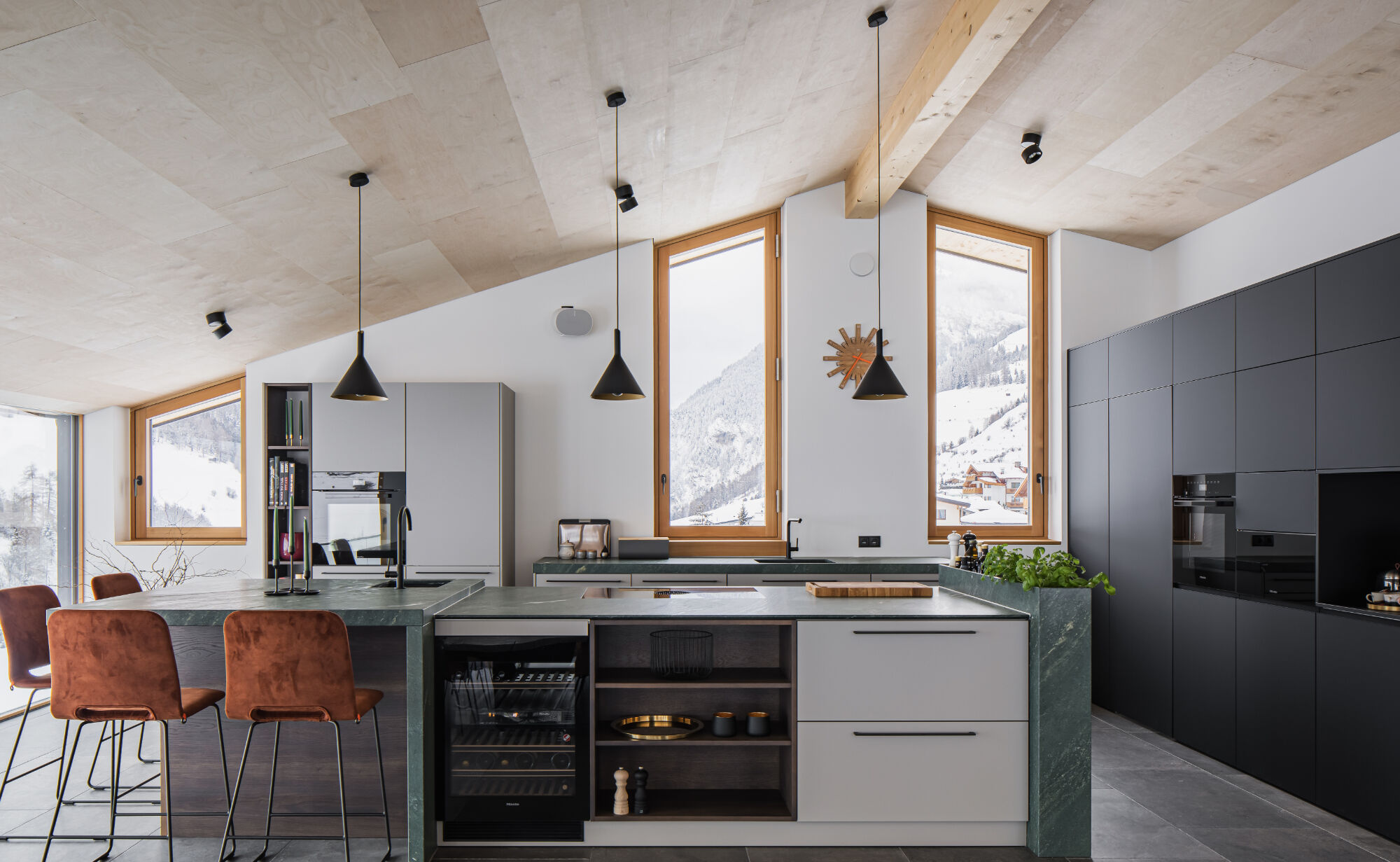 有王冠的房子；有景色的鸟巢丨奥地利丨Atelier Gitterle-14