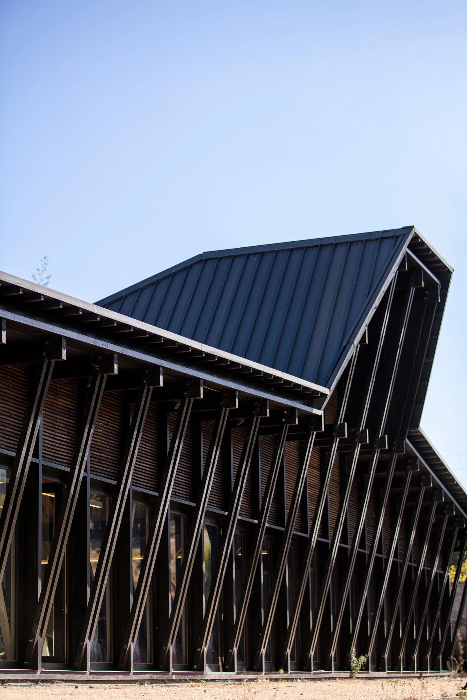 皮瓦登科乡村学校丨智利-8