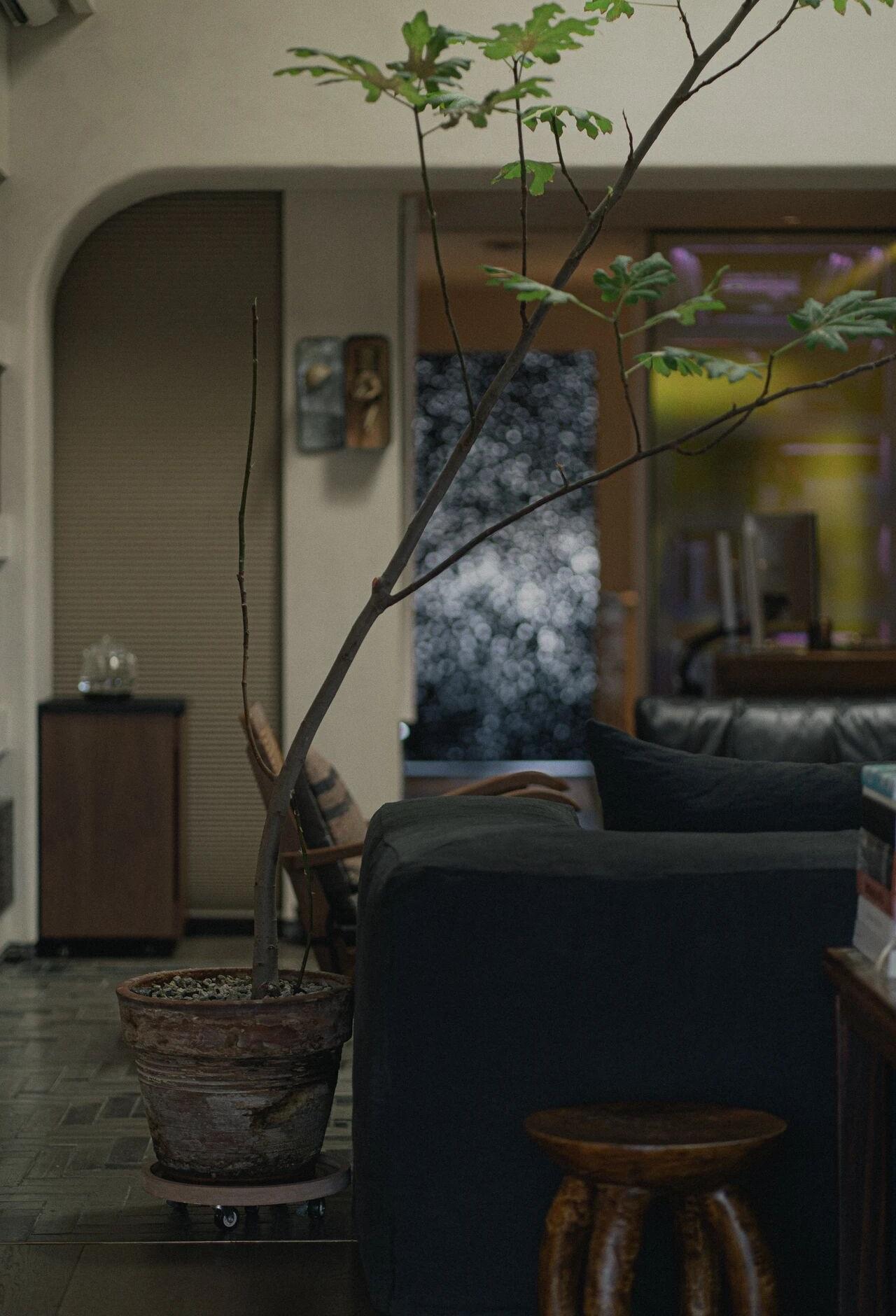 相上文象新办公室丨中国成都-31