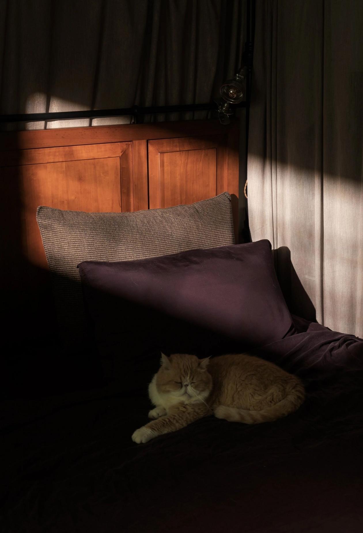 重庆無既萬溯设计 · 设计师于山自宅丨中国重庆-34