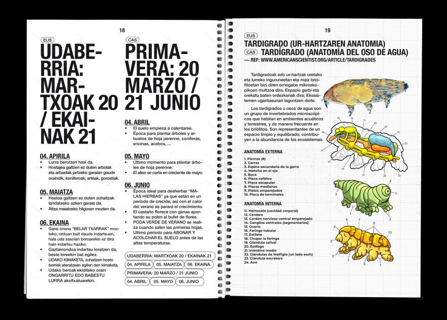 BOSQUE AUTÓCTONO 实地指南-15