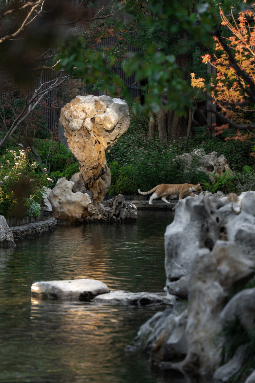 新东升福园南区丨中国淄博丨致澜景观-21