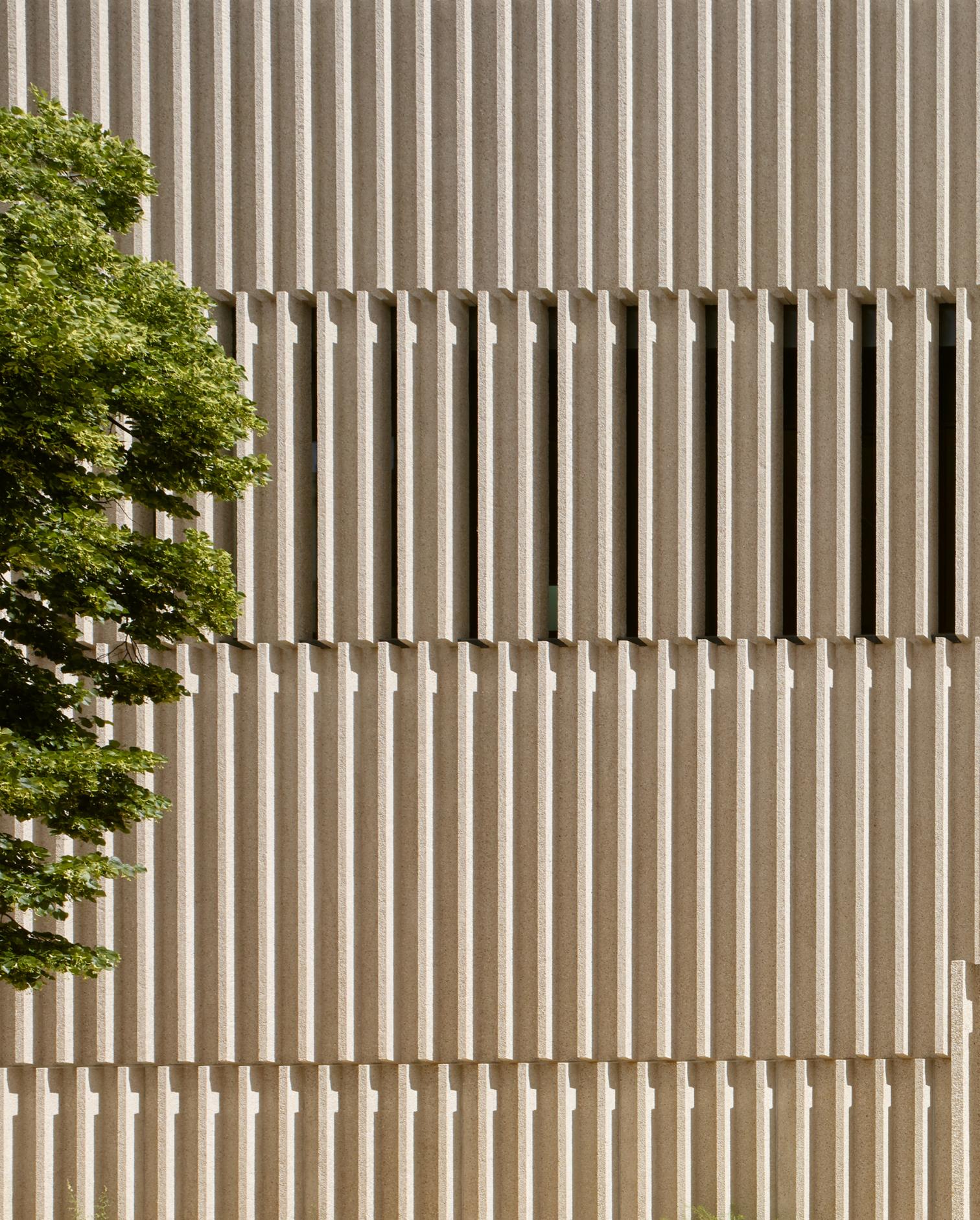 西班牙 Segovia 大学校园二期-16