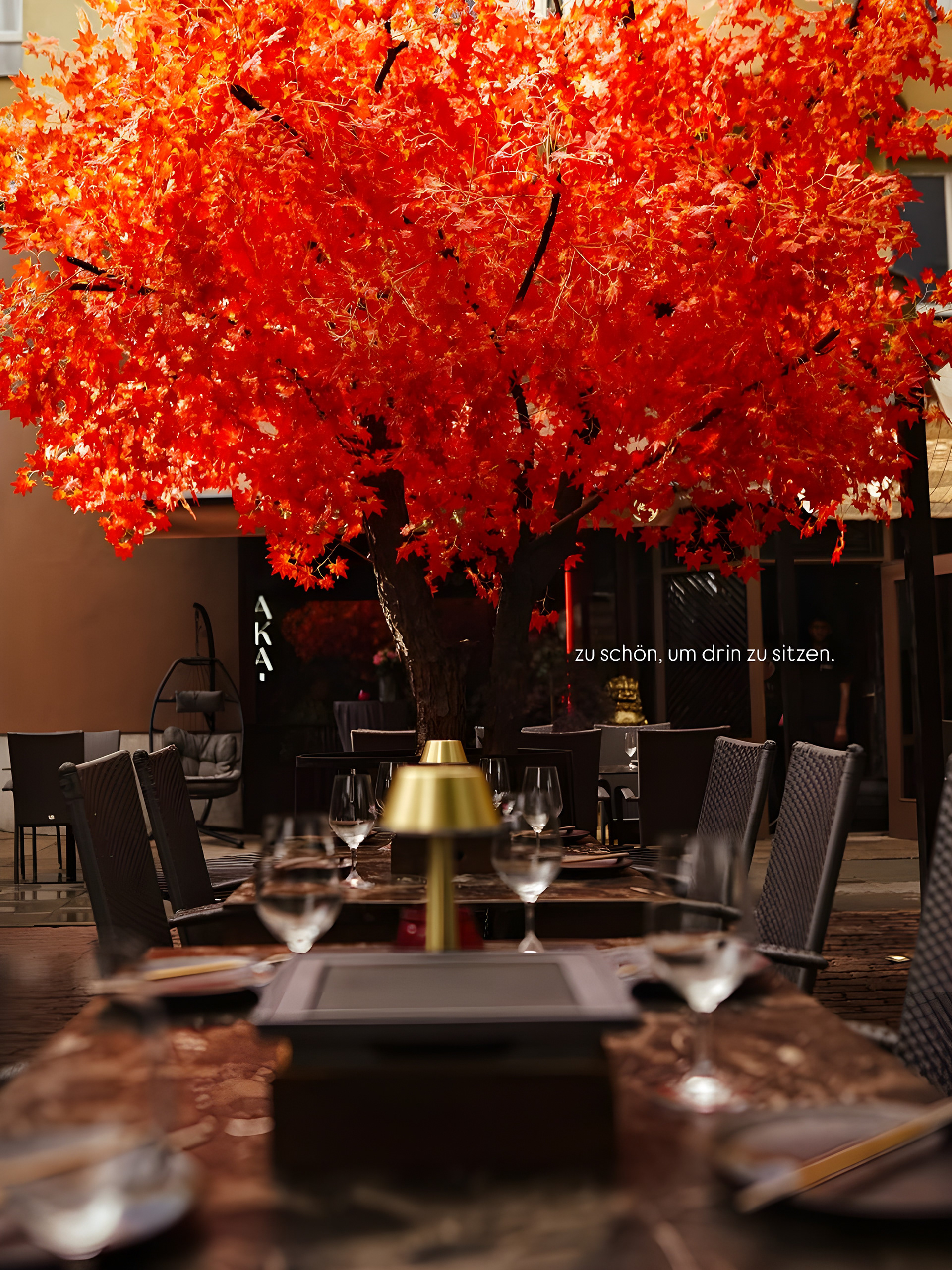 赤井餐厅酒吧（注：AKAI可能是人名、地名等特定名称，若AKAI有特定含义，需根据实际情况调整翻译） 丨德国柏林丨A  Plus Team-24