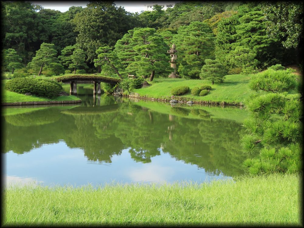 六义园丨日本京都-14