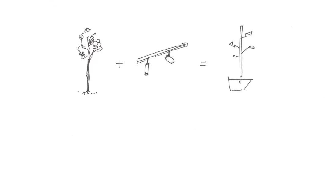 Planter 落地灯丨白菜-1