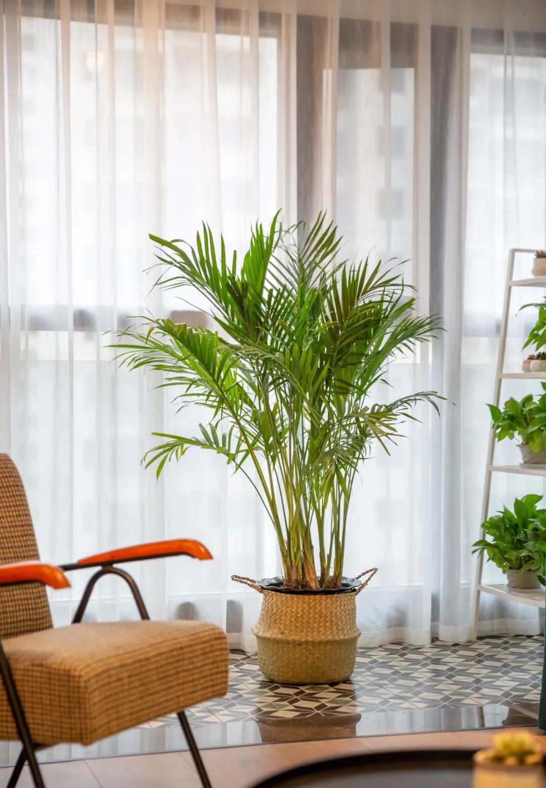 梦幻混搭,城市女业主的精致生活空间-70