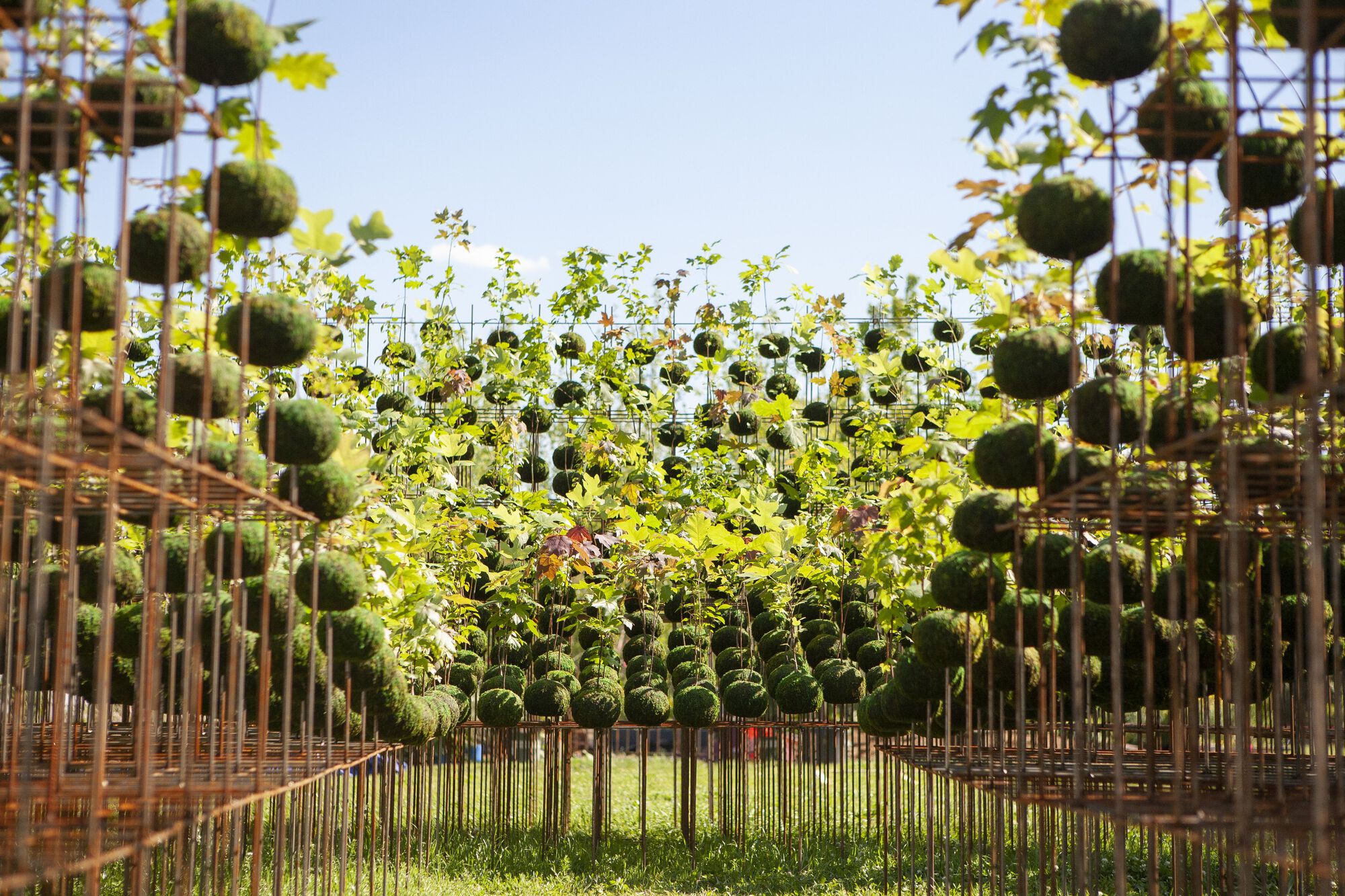 Kokedama Forest Installation，可持续微型森林雕塑-14