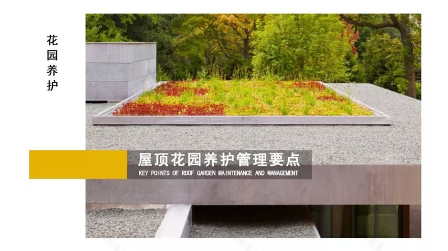 屋顶花园养护攻略 | 绿化、防水、修剪一网打尽-9