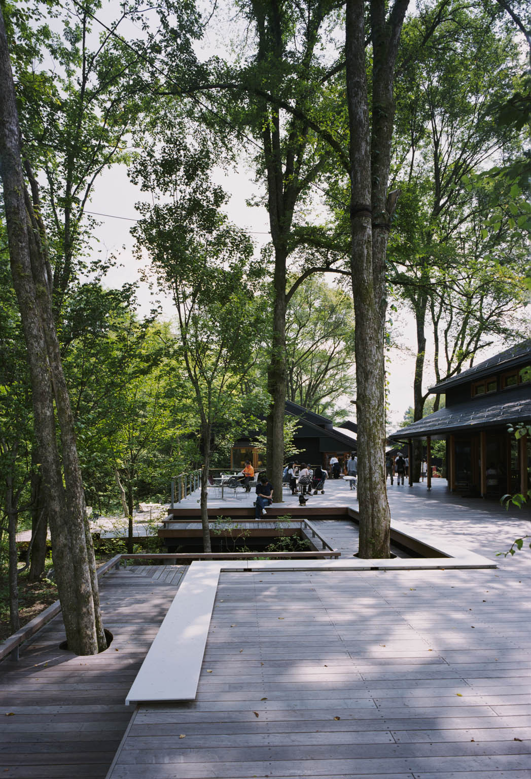 榆树露台 · 融入自然的休闲商业空间丨日本长野丨东环境·建筑研究所,都市环境照明研究所(ICE)等-21