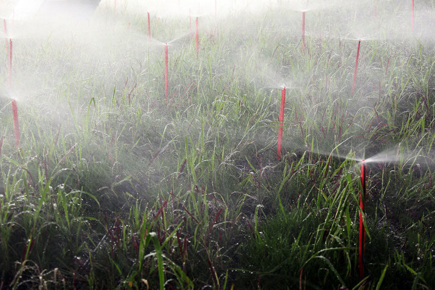 German Pavillon Expo Shanghai 2010-2