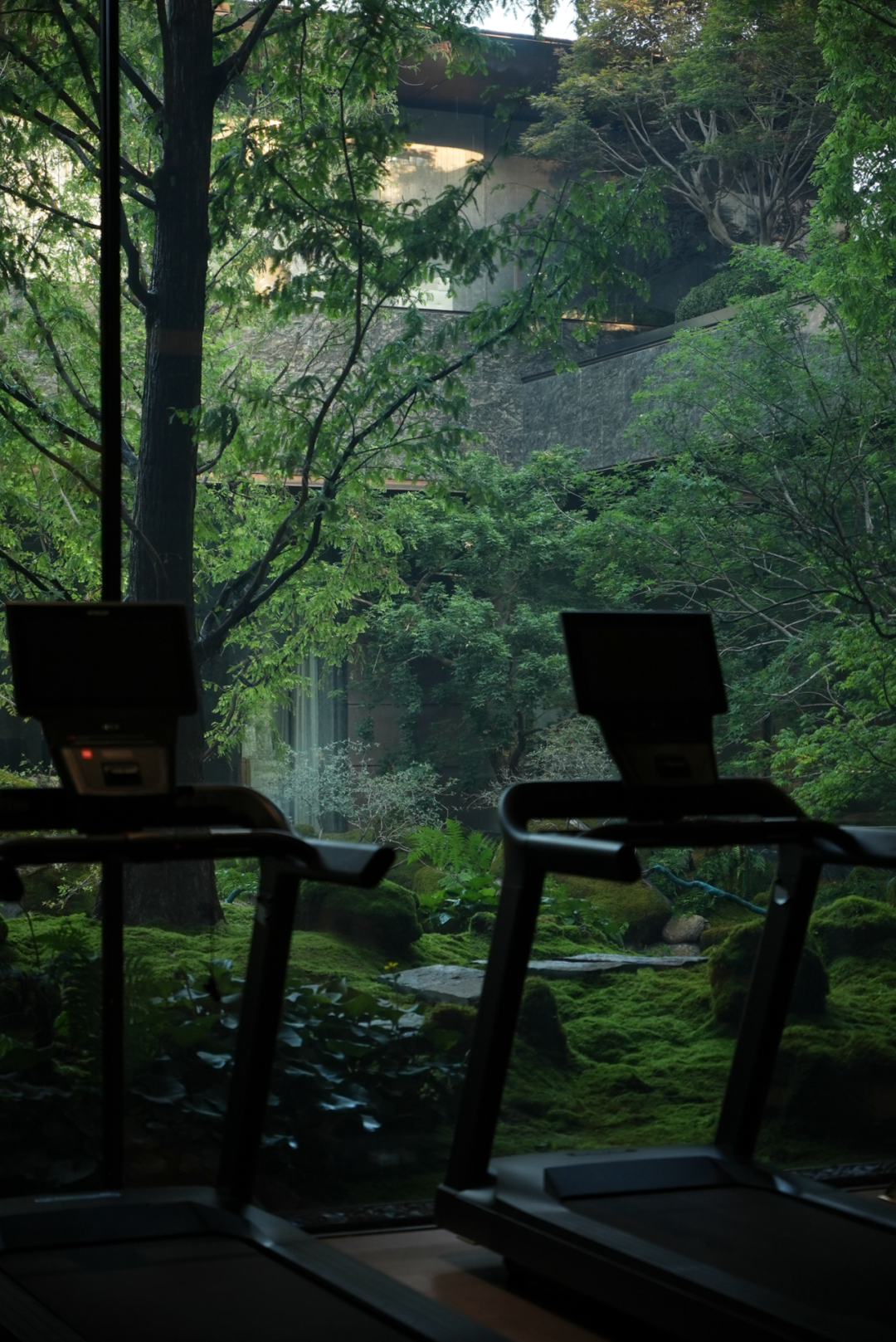 山风徐来——极野京韵的东方疗愈居所|金茂北京璞逸丰宜-45