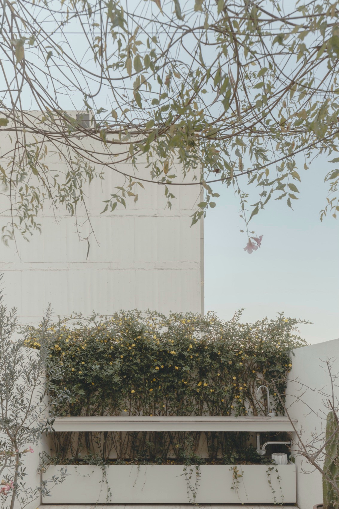 Antonio Solá公寓楼，墨西哥 / Módica Ledezma-53