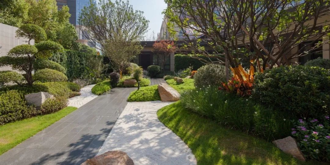 侨民与月丨合景招商 · 映月台-45