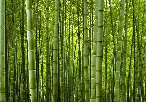 法云安曼 · 古村落中的奢华禅意空间丨中国丨Amanresorts-22