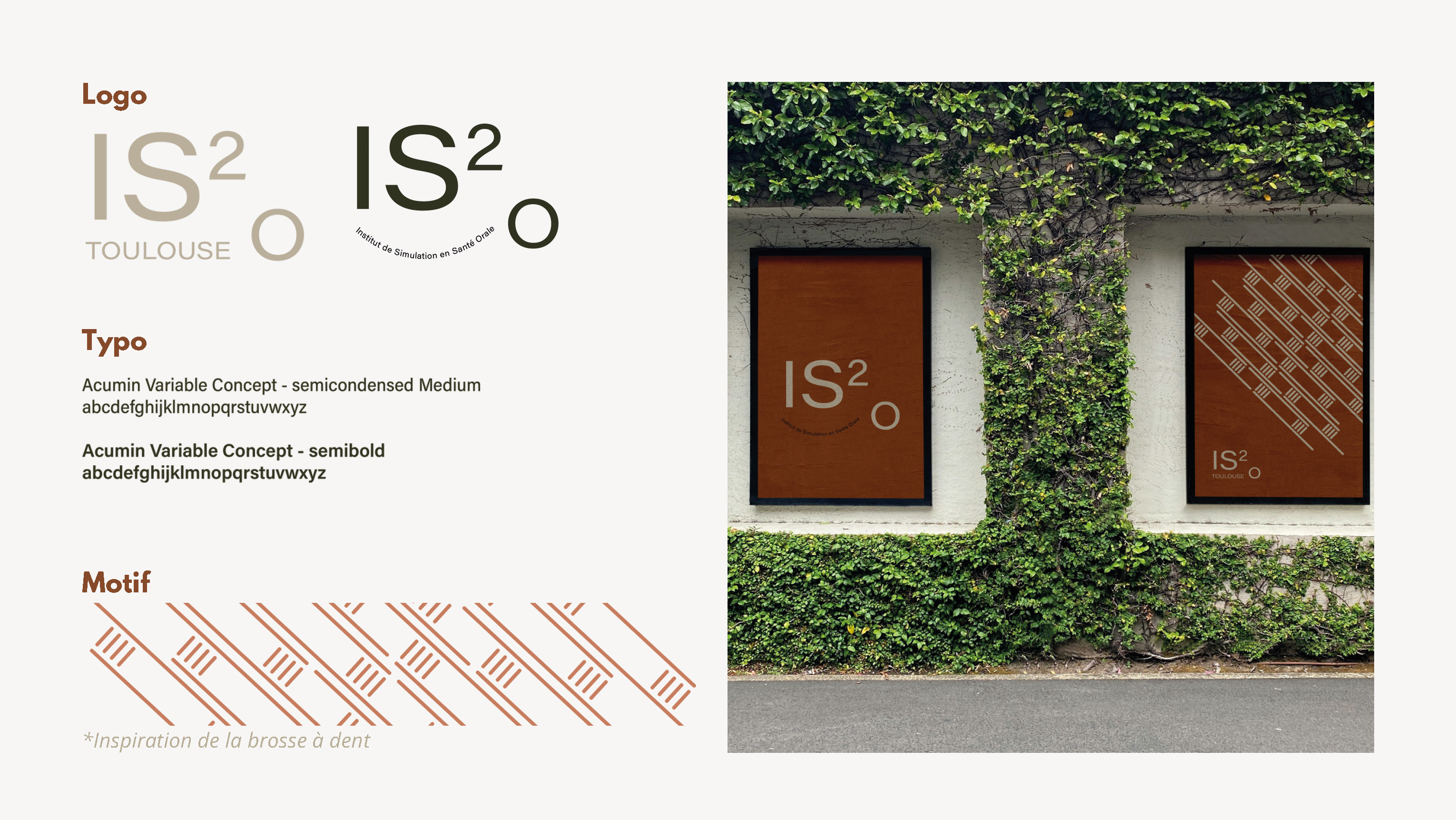 I2SO 大学口腔学院丨法国图卢兹-13