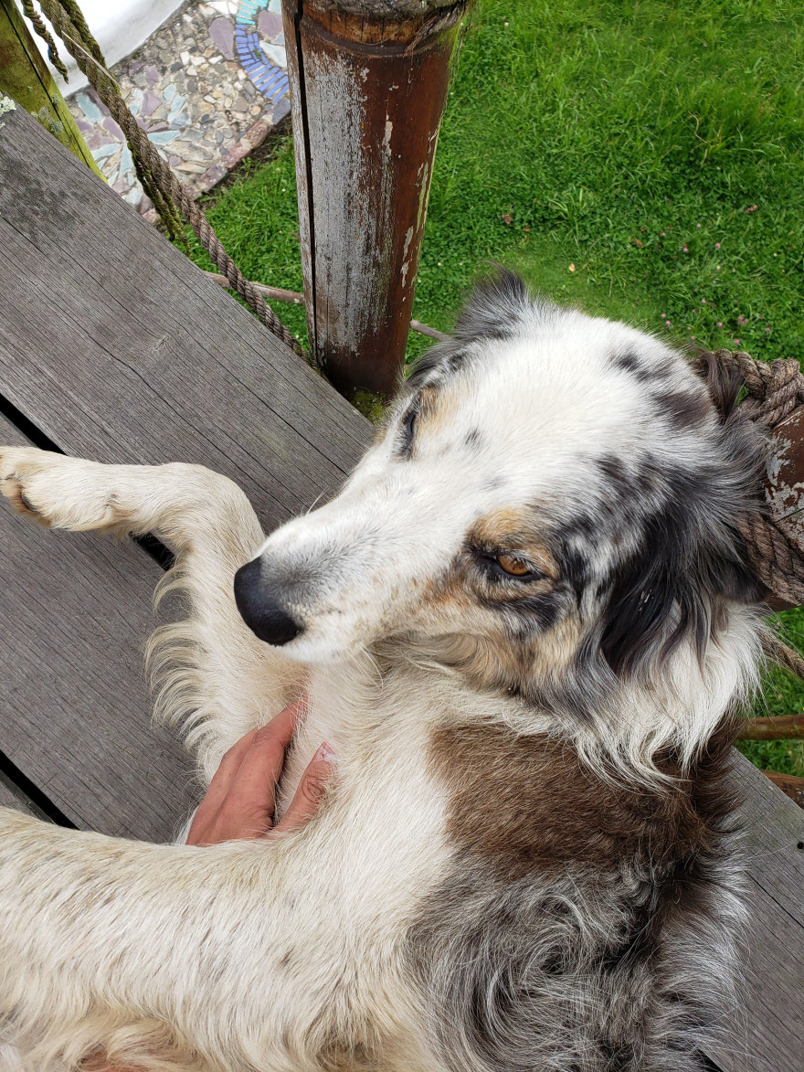 1ER TALLER DE CONSTRUCCIÓN CON TIERRA FO-46