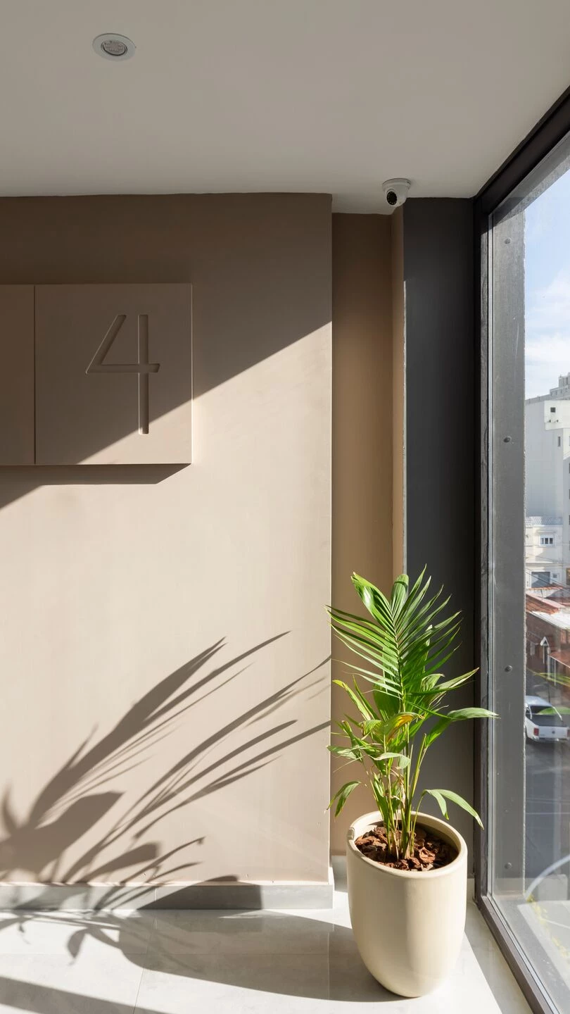 阿根廷 Mar del Plata 的 B6 办公楼丨阿根廷布宜诺斯艾利斯丨Estudio Moirë arquitectos-40