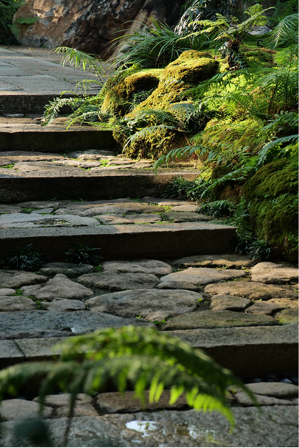 宋屿雲庭丨中国佛山丨陆启水建筑师事务所,宋屿园林-32