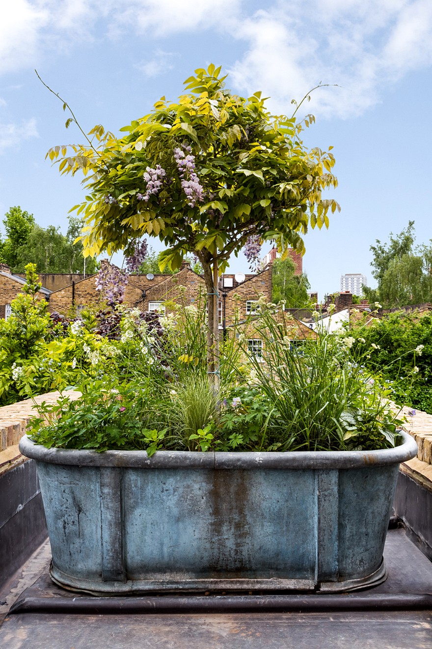 Blue House: London Georgian House Features an Eclectic Mix of Old and New-36