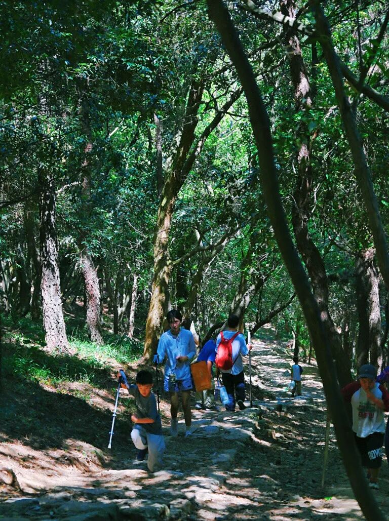 周末带娃撒欢，去旺山郊野公园觅野趣！-29