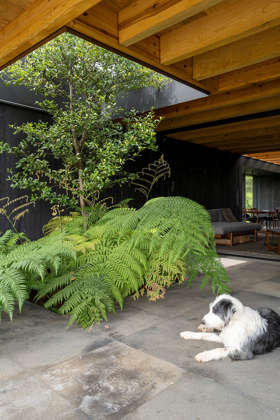 墨西哥雨水收集之家丨Robert Hutchison Architecture + JSa-109