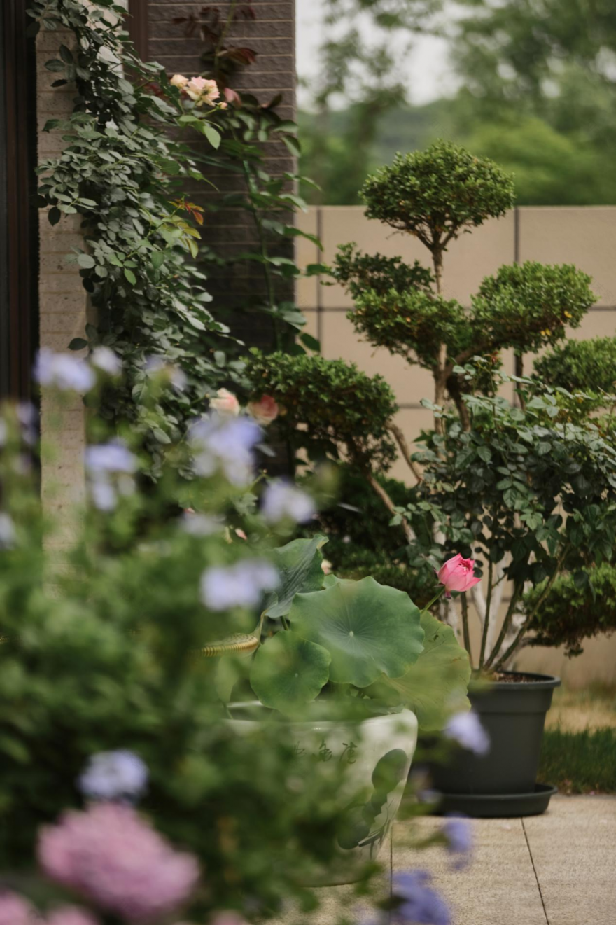 现代家庭居住空间设计-49