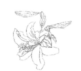 舟山绿城凌波秋月丨中国舟山丨浙江蓝颂园林景观设计集团有限公司-12