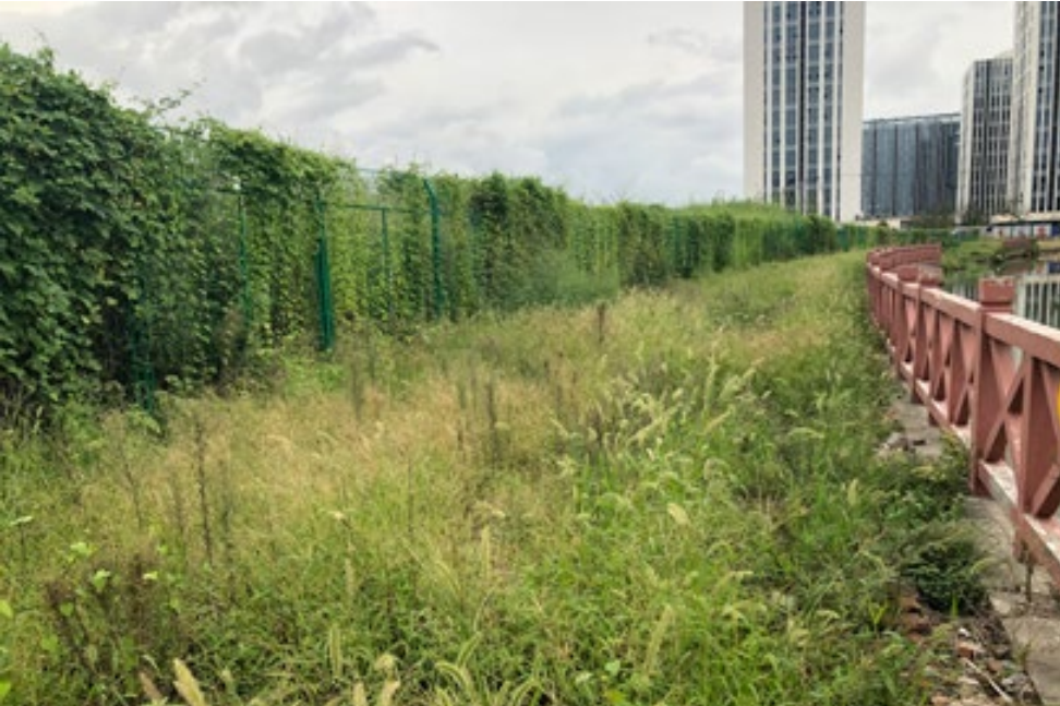 《九里亭景观更新规划与实践》 | 精致共享共治,呈现松江新貌-49