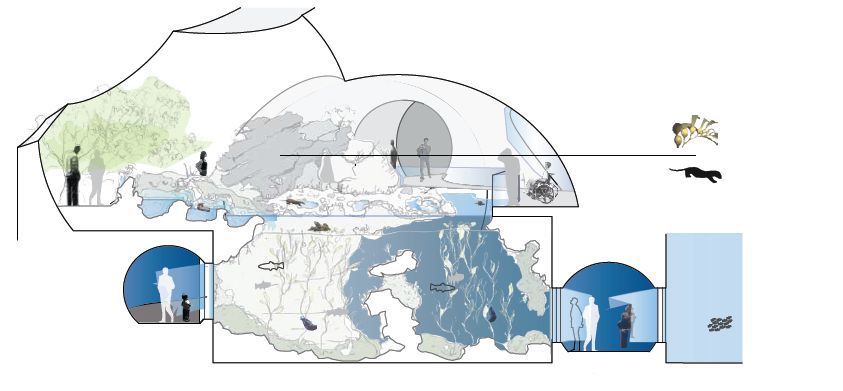 瑞士巴塞尔海洋水族馆 · 融入城市景观的壮观海洋之旅-23