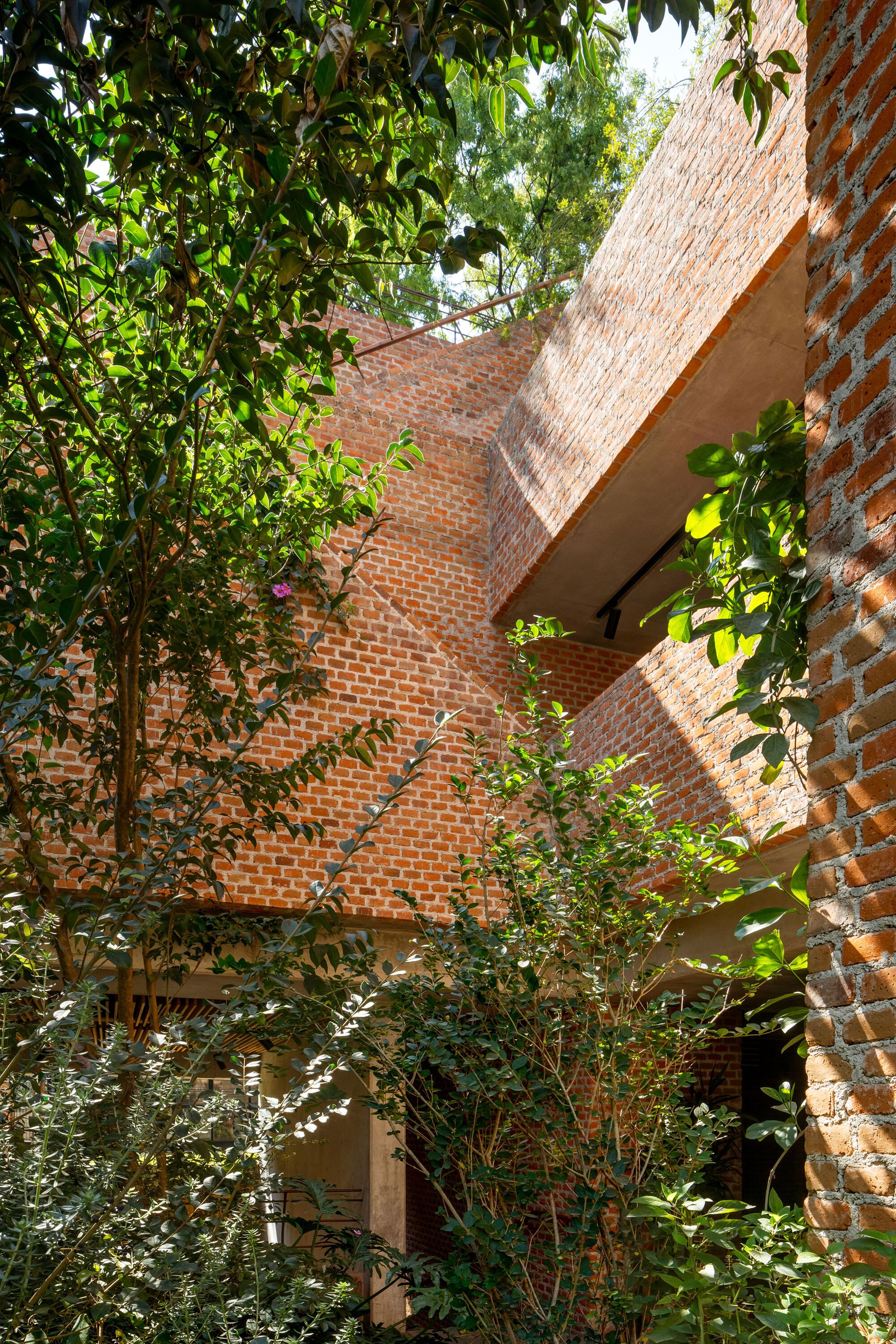 E8 住宅丨墨西哥墨西哥城-18