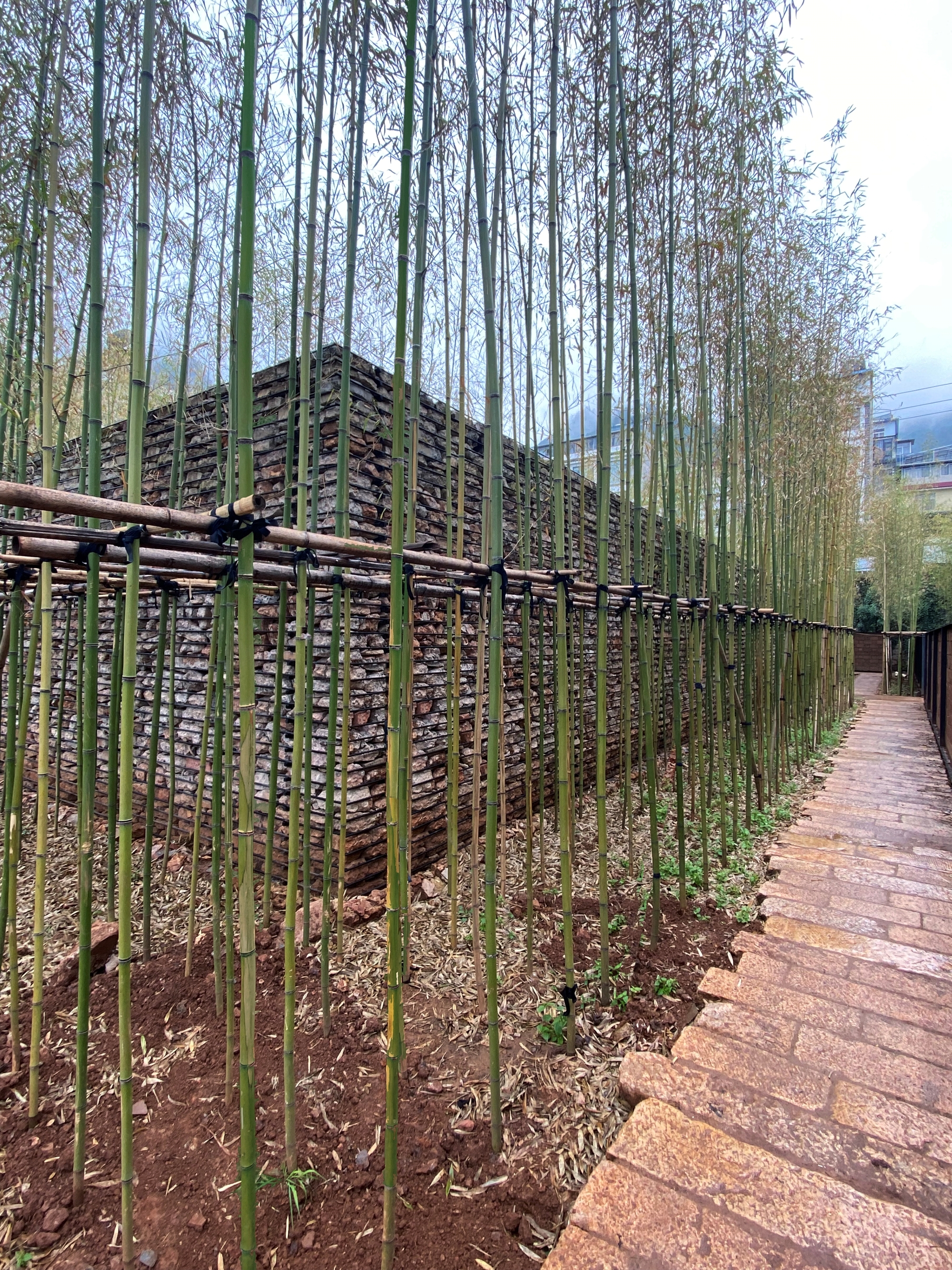 云南大知闲闲民宿改造丨中国玉溪丨阮晓舟设计工作室-37