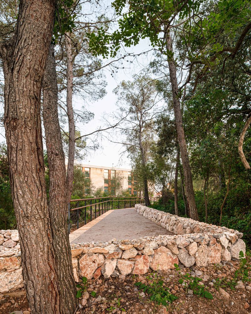 Son Caulelles 考古遗址景观设计丨西班牙-44