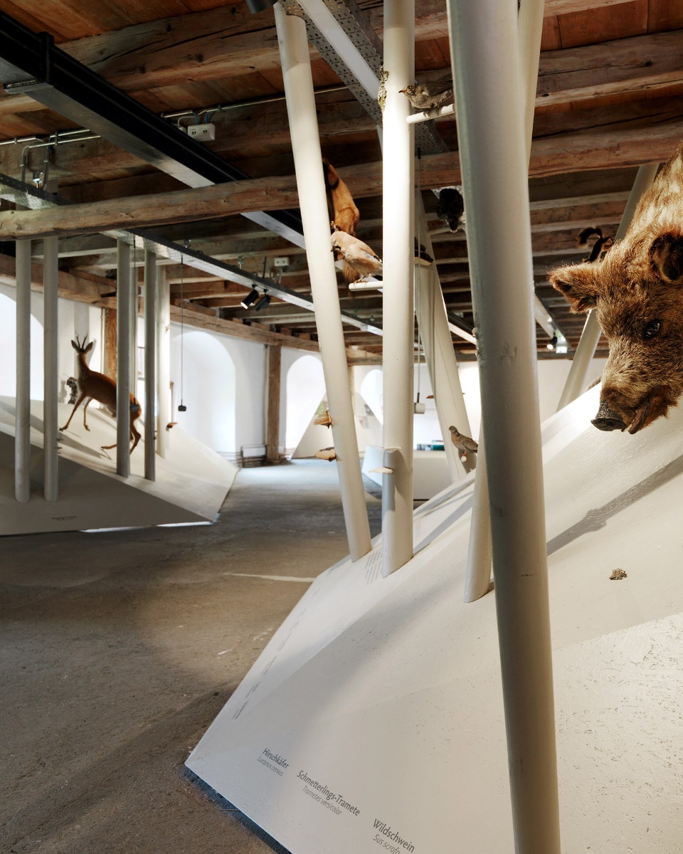 自然公园游客中心空间设计，奥地利 / INNOCAD-28