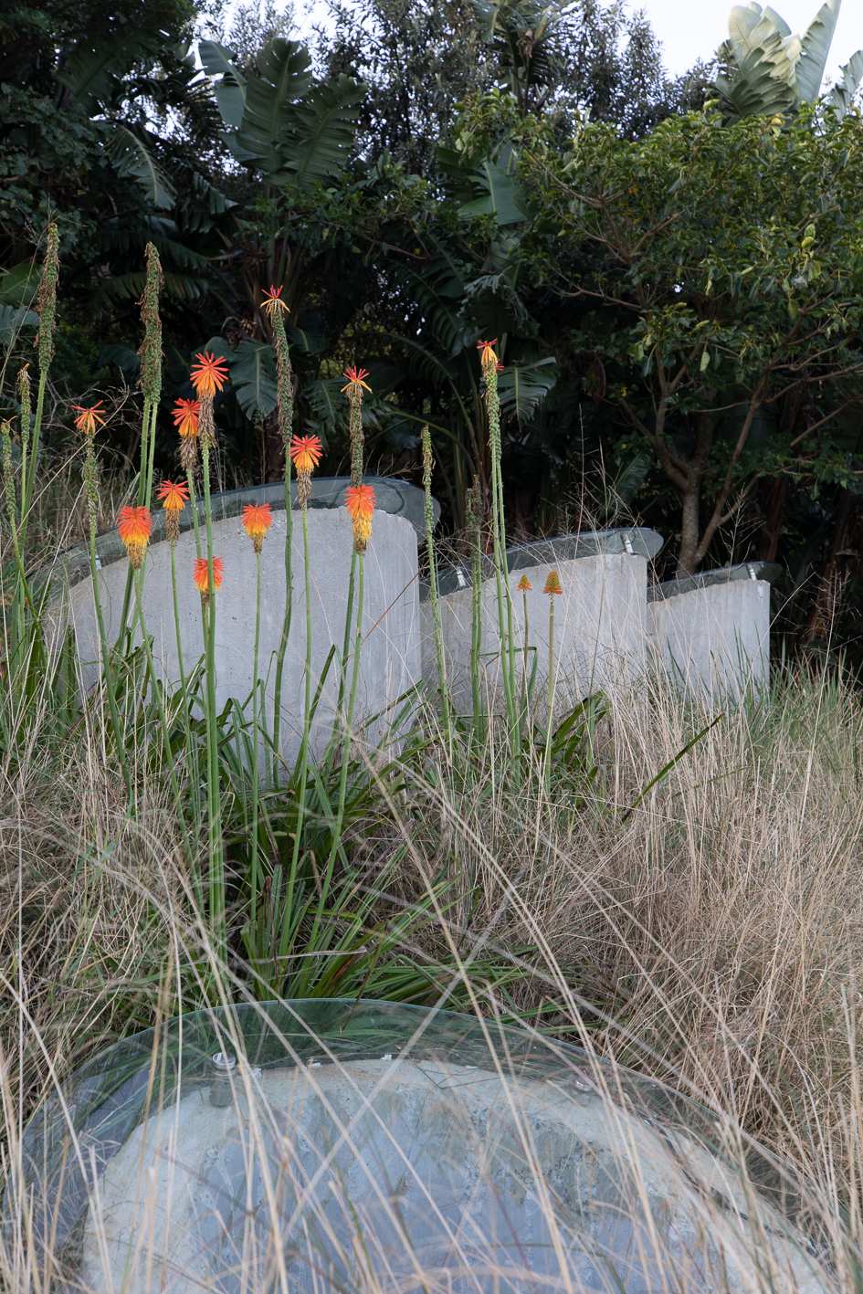 丨南非丨Common Architecture-48