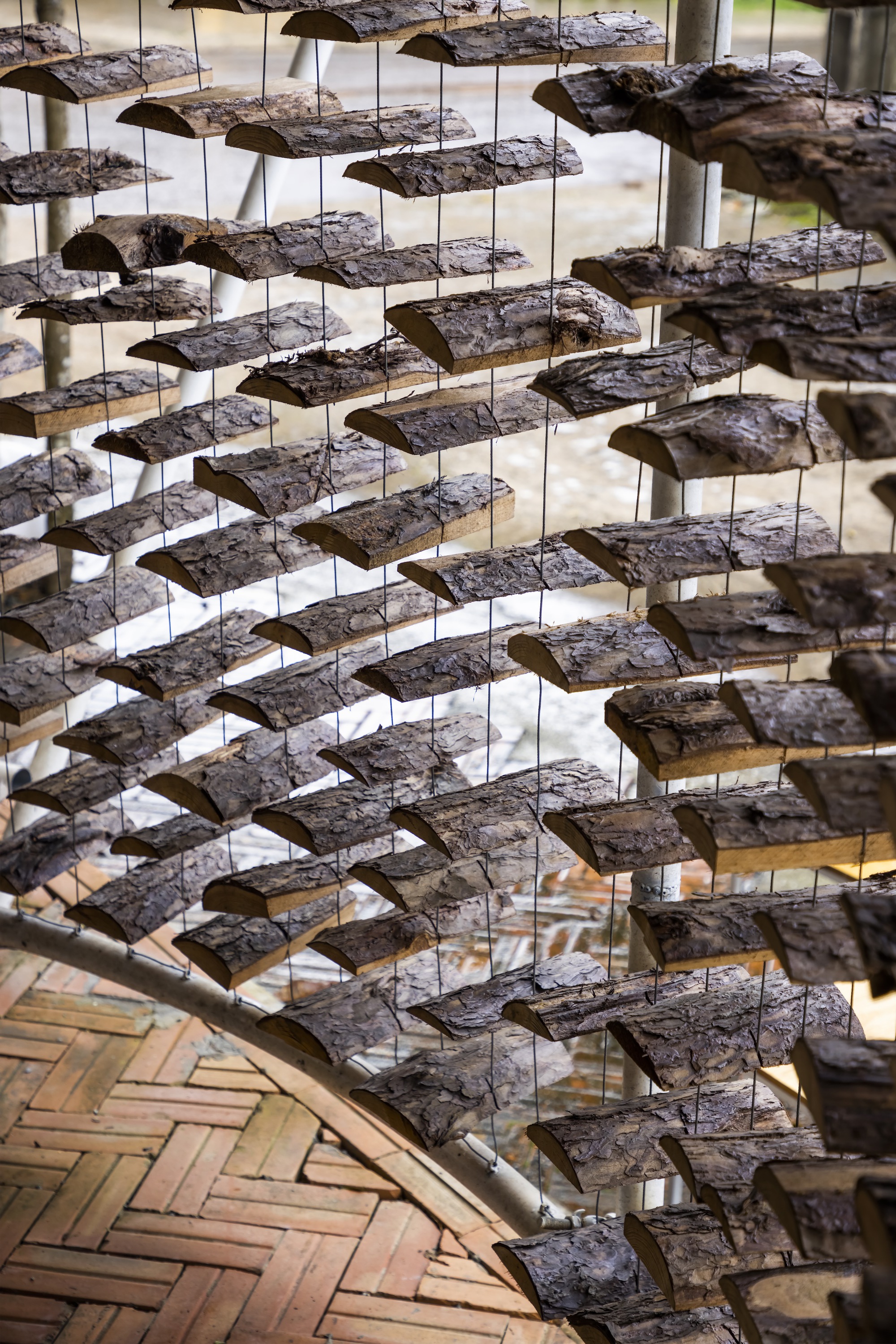 采茶，开花丨越南-45