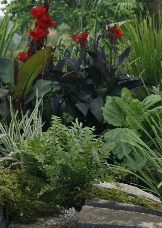 仲夏夜之梦 · 莎士比亚灵感的花园设计丨中国深圳丨Sarah Eberle(英国)-52