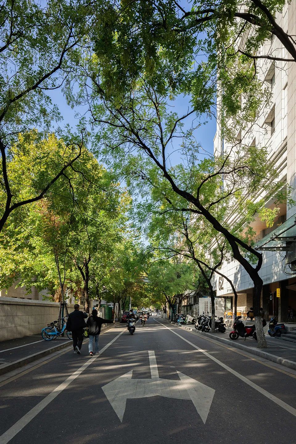 南京美术大厦 · 方庭与曲庭的融合设计丨中国南京丨MOU建筑工社-9