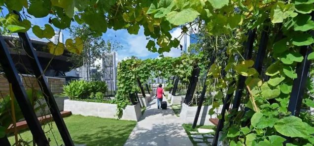 新加坡Funan Mall，为国内商业地产的存量改造提供了新的灵感！-101