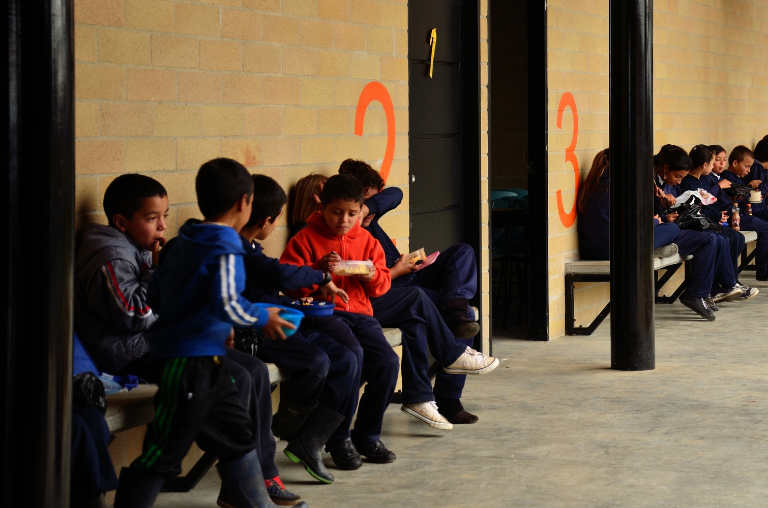 哥伦比亚农村学校 · 模块化设计与景观互动-45