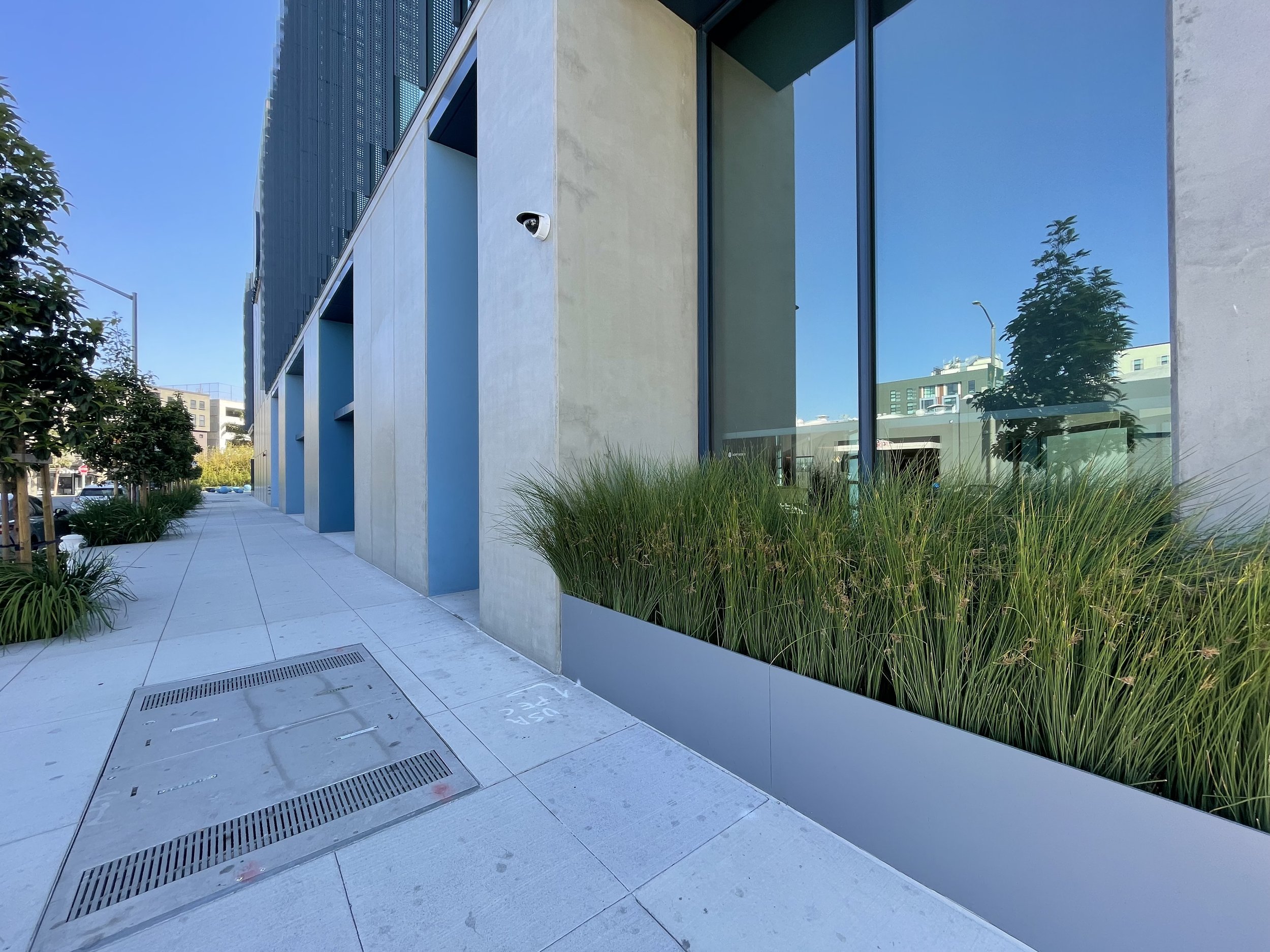 丨美国加利福尼亚-16