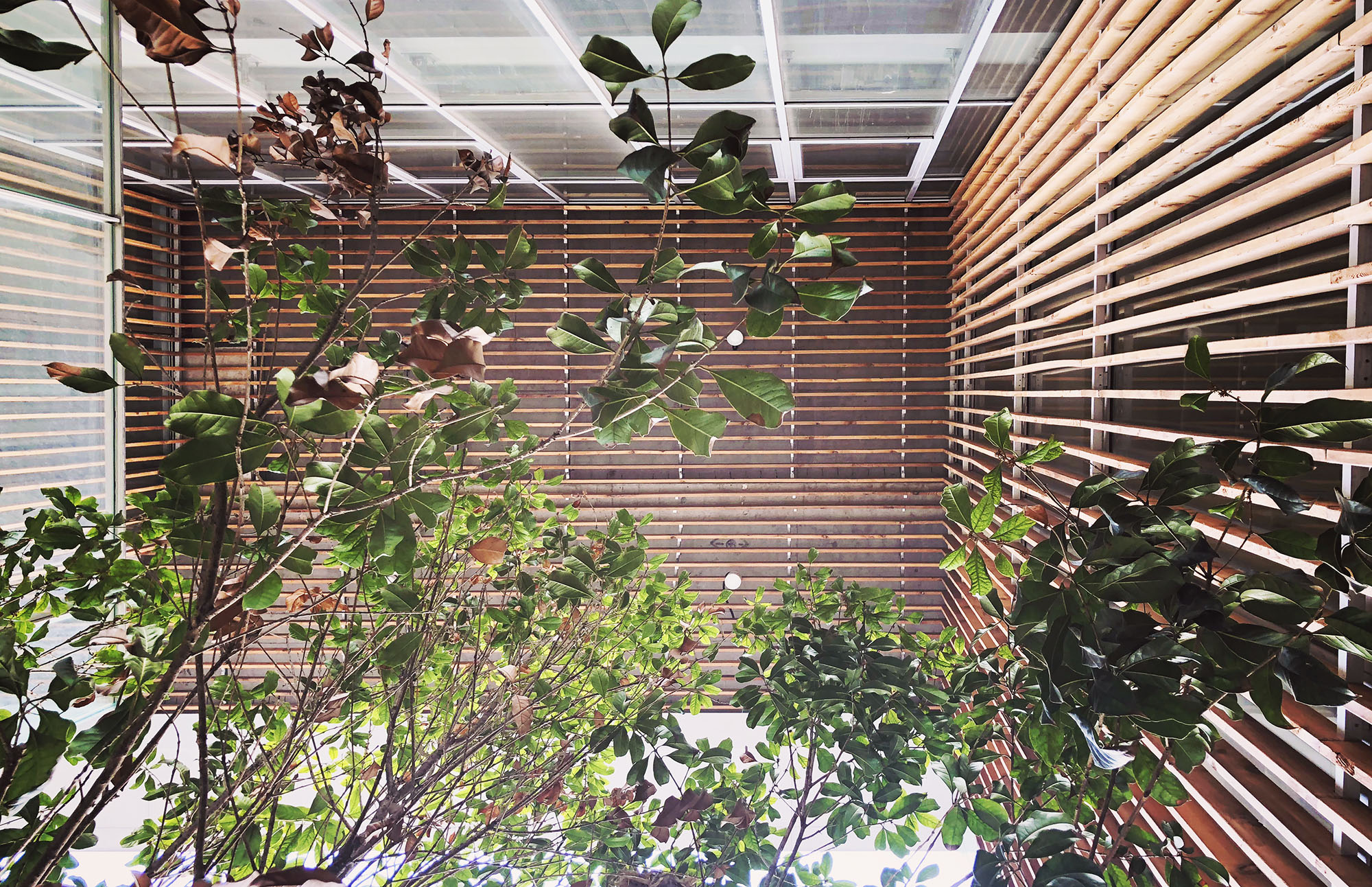 Garden+Factory | RIPPLE IDEAS-19