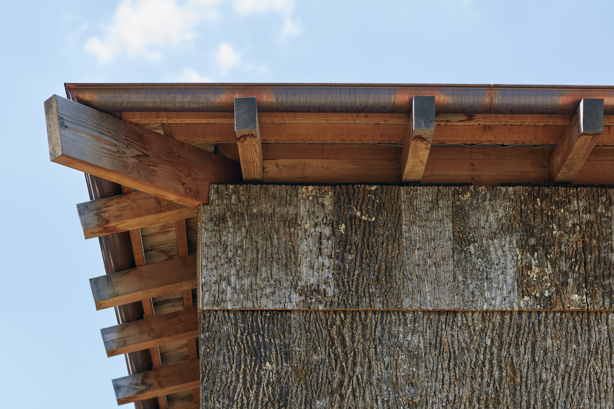 杨树丛丨美国华盛顿丨BLDUS-43